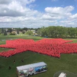 Meet your Posher, Vicky